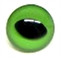 Plexi-Auge 22mm grün