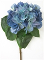 Hortensie 60cm blau
