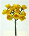 Dotterblumen Bund à 12 15x10mm gelb