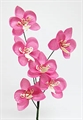 Orchidee mini 35mm pink / orchidee (voraussichtliche Lieferfrist Okt 22)