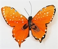 Schmetterling 70mm orange