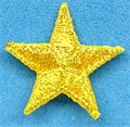 Bügelmotiv 4cm Stern Gold